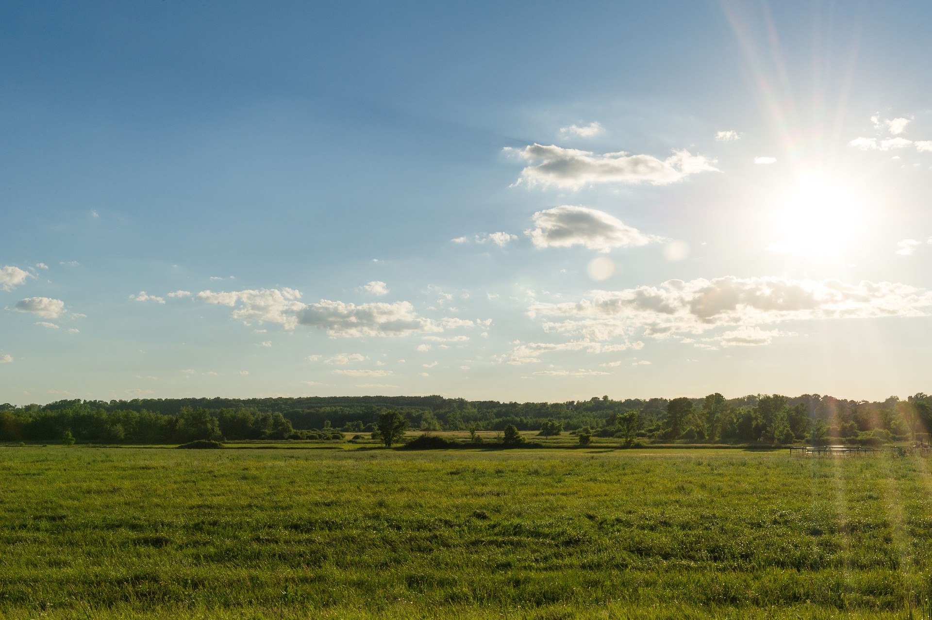 Wide Open Space